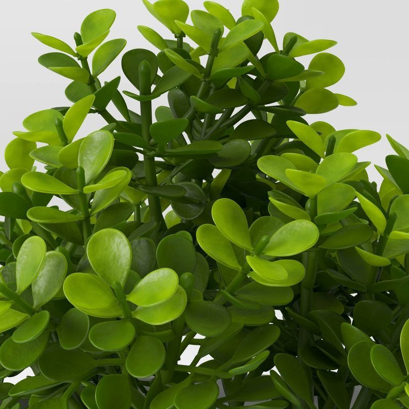 Boxwood Faux Plant – Threshold™