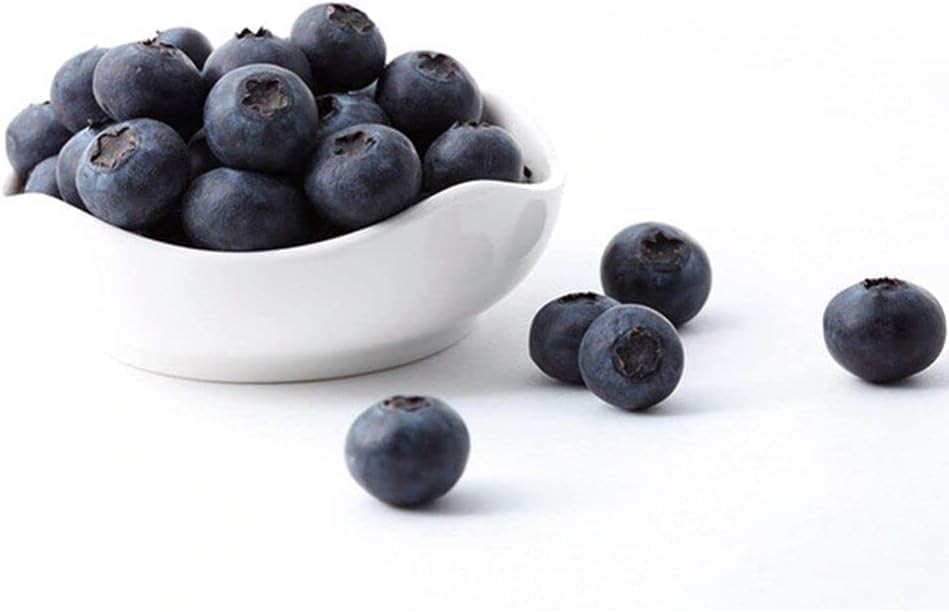 20 Pcs Artificial Blueberries Realistic Fake Blue Berry Plants Fruit Flowers