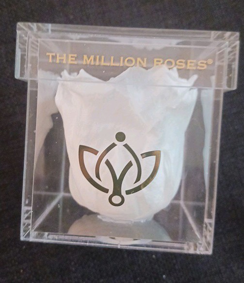 REAL Preserved Eternity Forever White Rose Ring Box Proposal Valentine’s