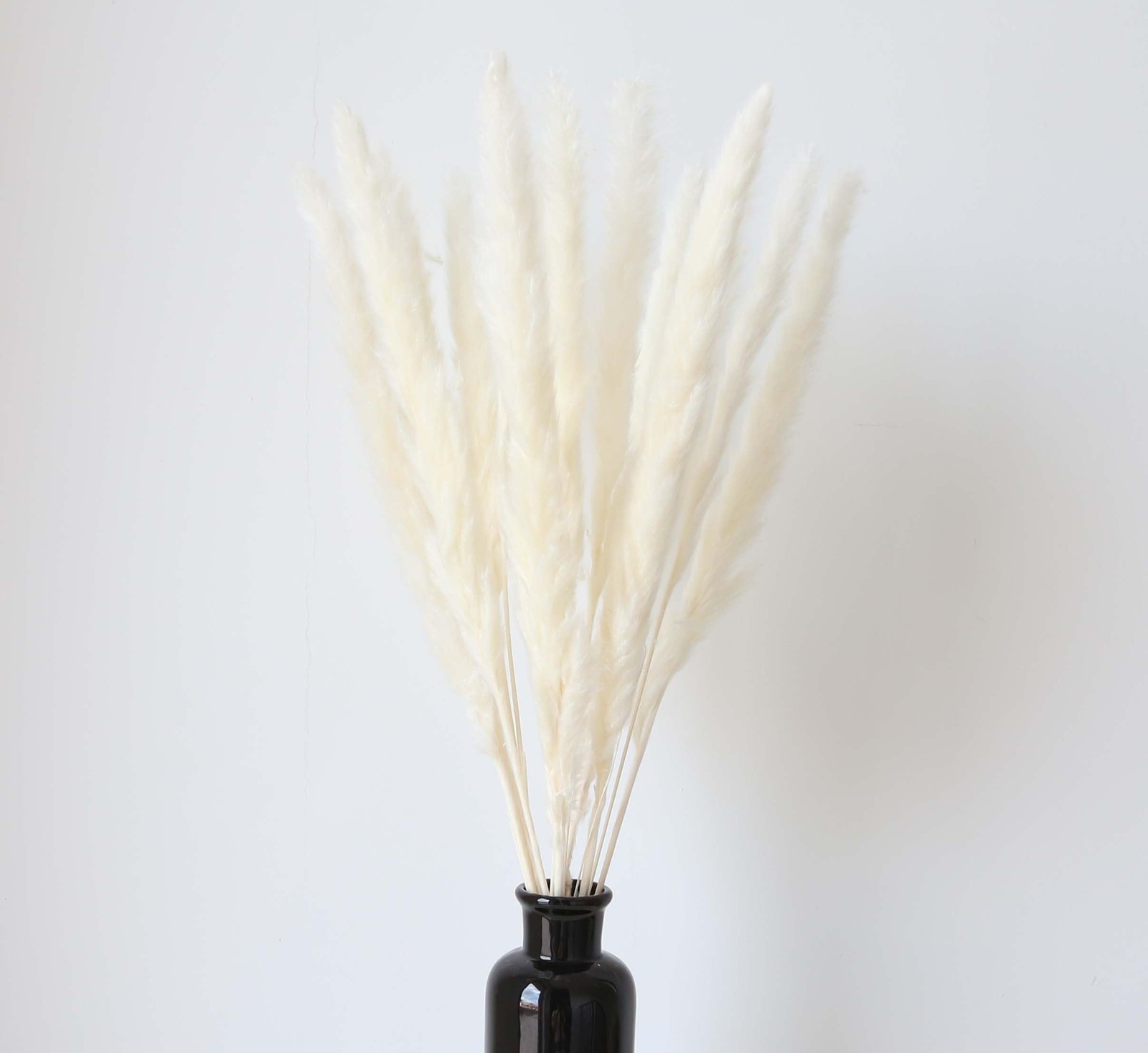 100 Stems Dried Pampas Grass, Boho Table Decor Natural Reed 100 PCS, White