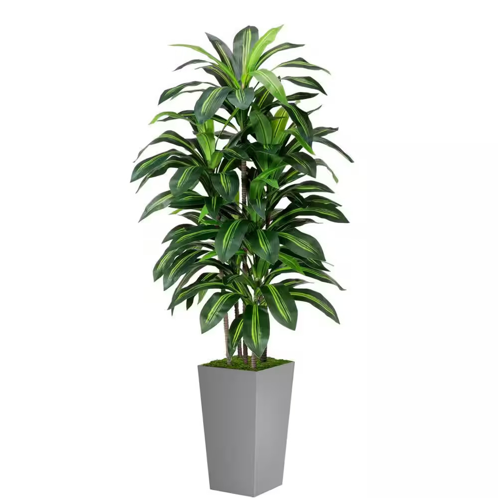 5 Ft. Artificial Dracaena Plant with Gray Tall Planter Ornaments