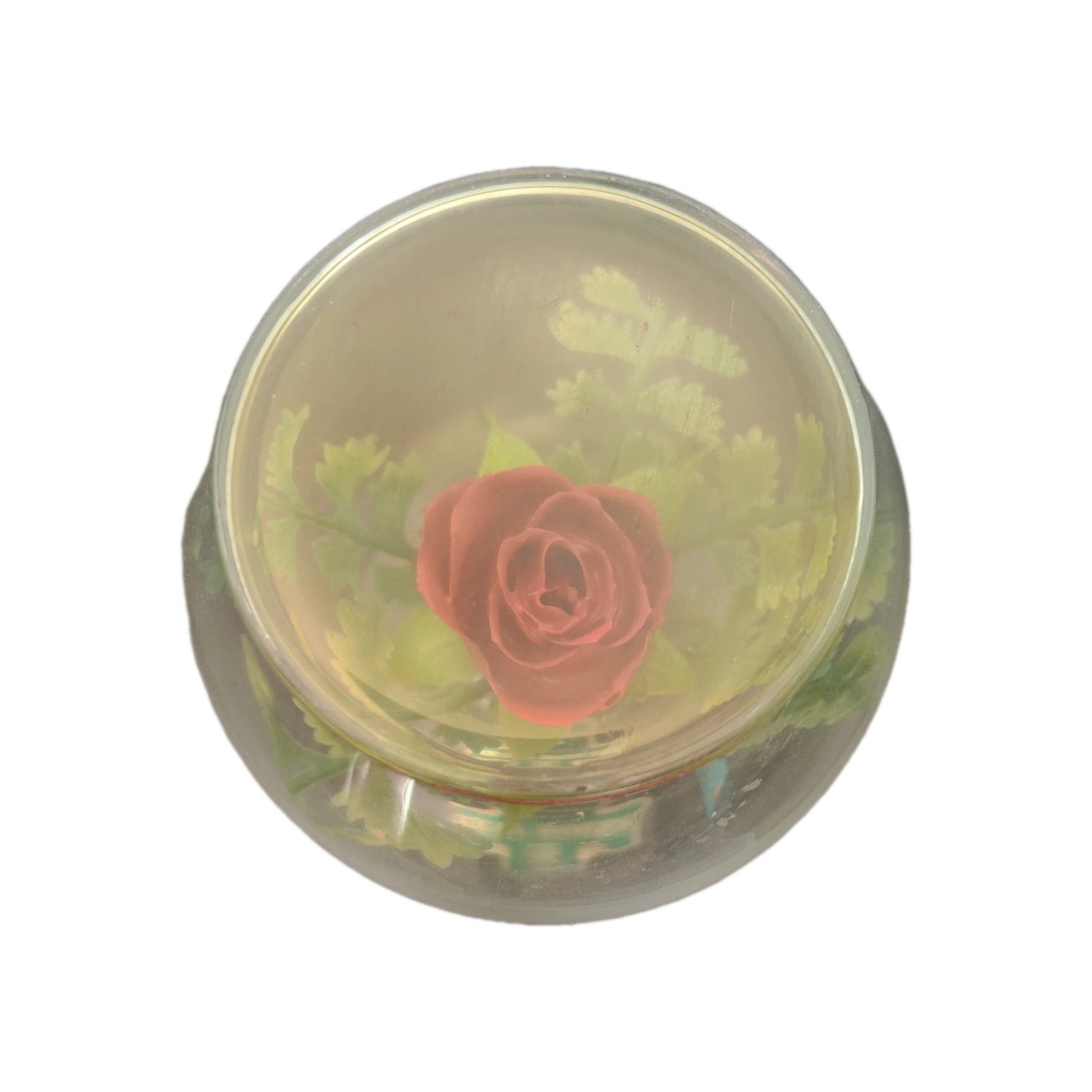 Lifesake Flowers Red Rose Preserved In Wine Glass Decor VTG Cottage Core Romance