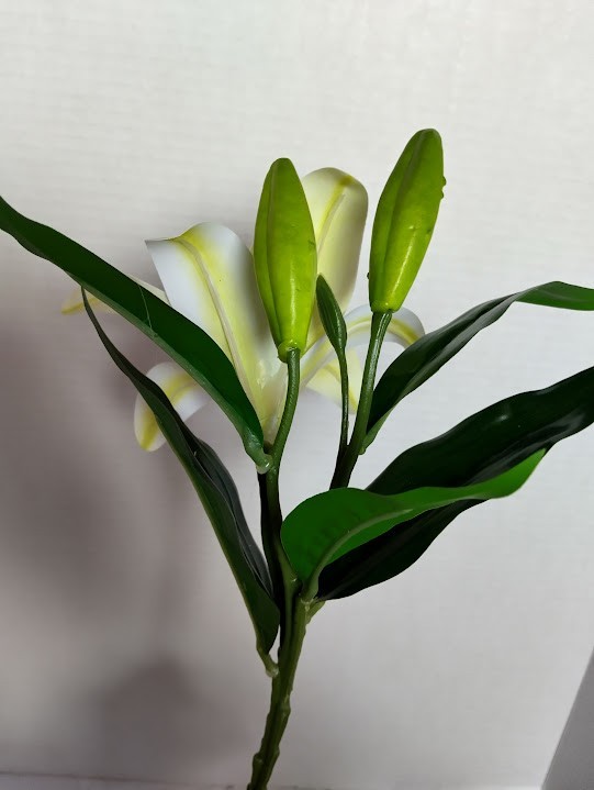 THREE 14″ white lily stems for bouquets