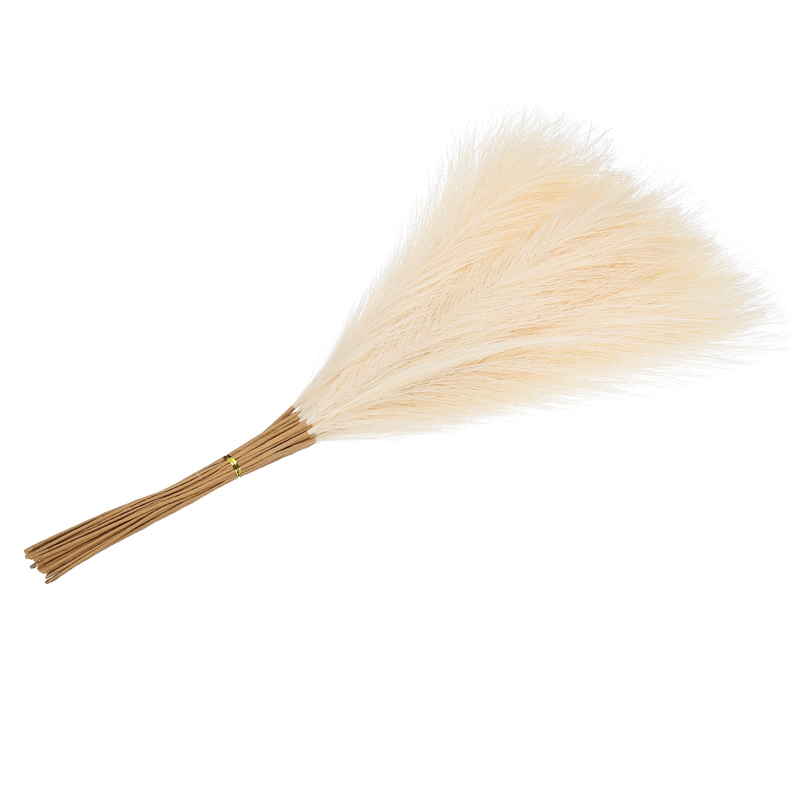 21.7in Pampas Grass Decor, 50pcs Artificial Pampas Grass Bulk, Beige