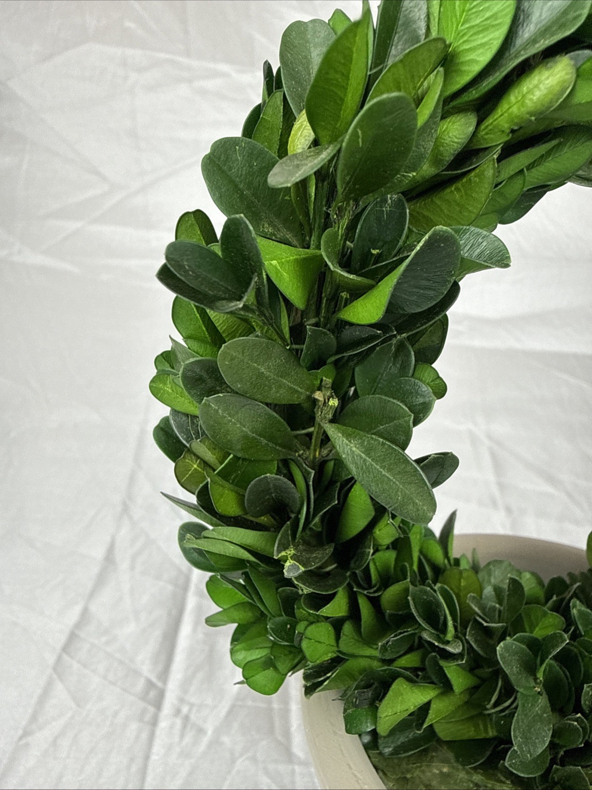 Artificial 12″ Green Boxwood Topiary Circular Wreath In Rustic Grey Ceramic Pot