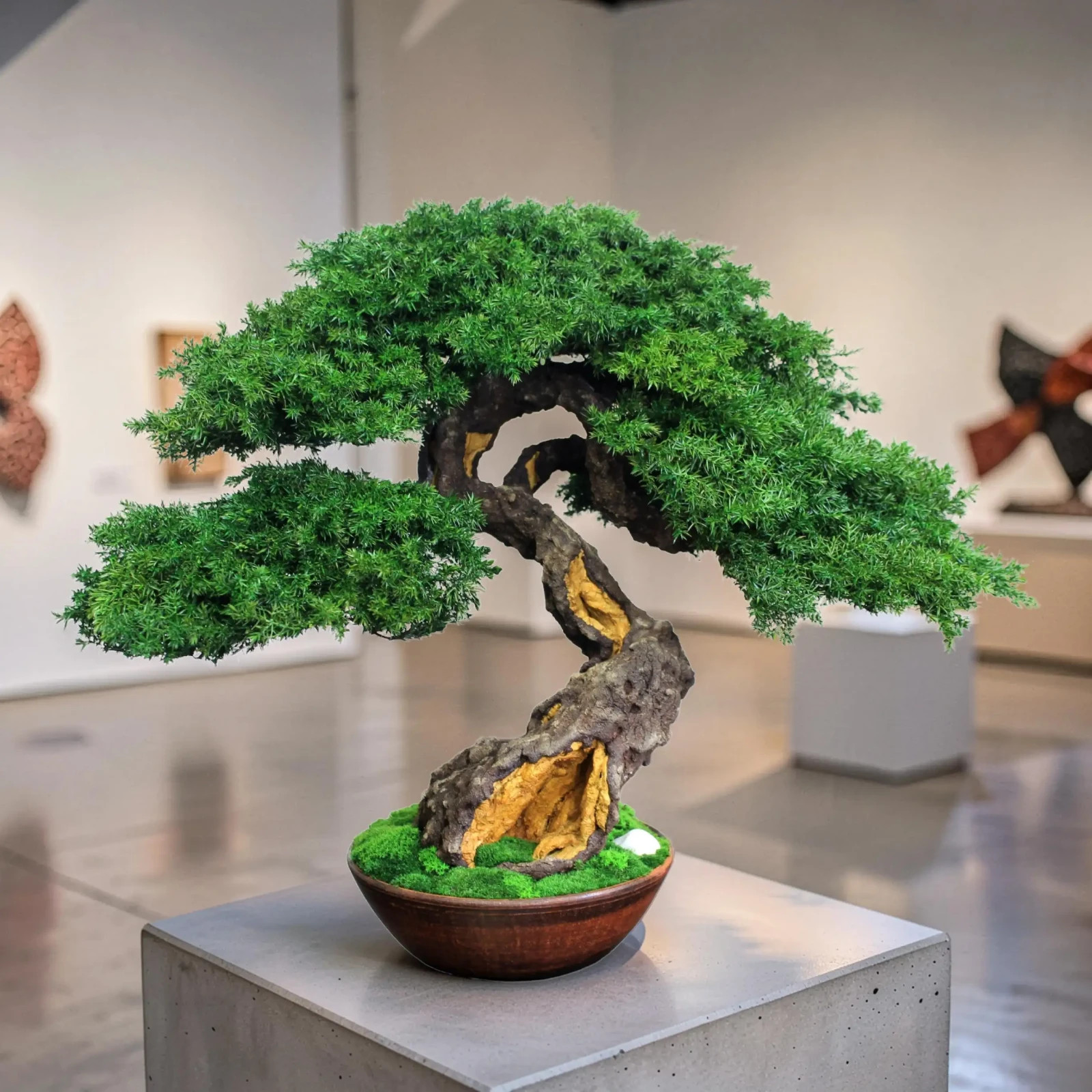 Exclusive Preserved Juniper Bonsai – Interior Art Sculpture. 37 cm / 14,6″