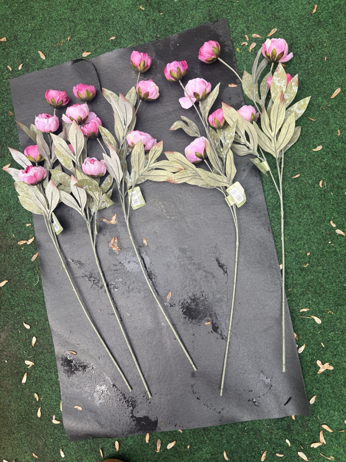 Lot of 6 Dried Pink Peony Stem by Ashland Michaels Faux Floral 27” New