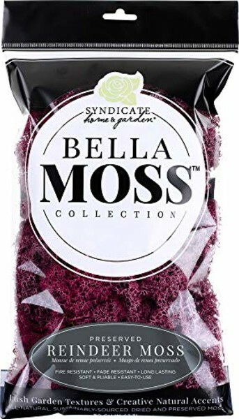 Bella Moss 1406121084 Preserved Reindeer Moss, Sangria, 80 cu in.