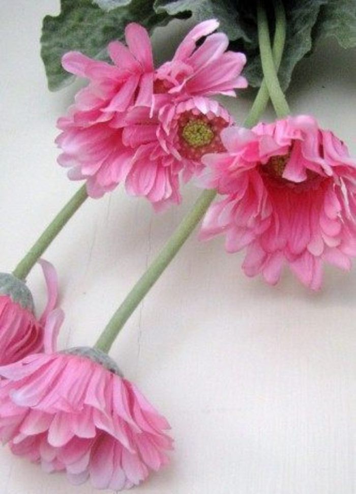 Daisy Pink Gerbera Daisies Tied With Bow Bunch Faux Dried Flowers 19 inch