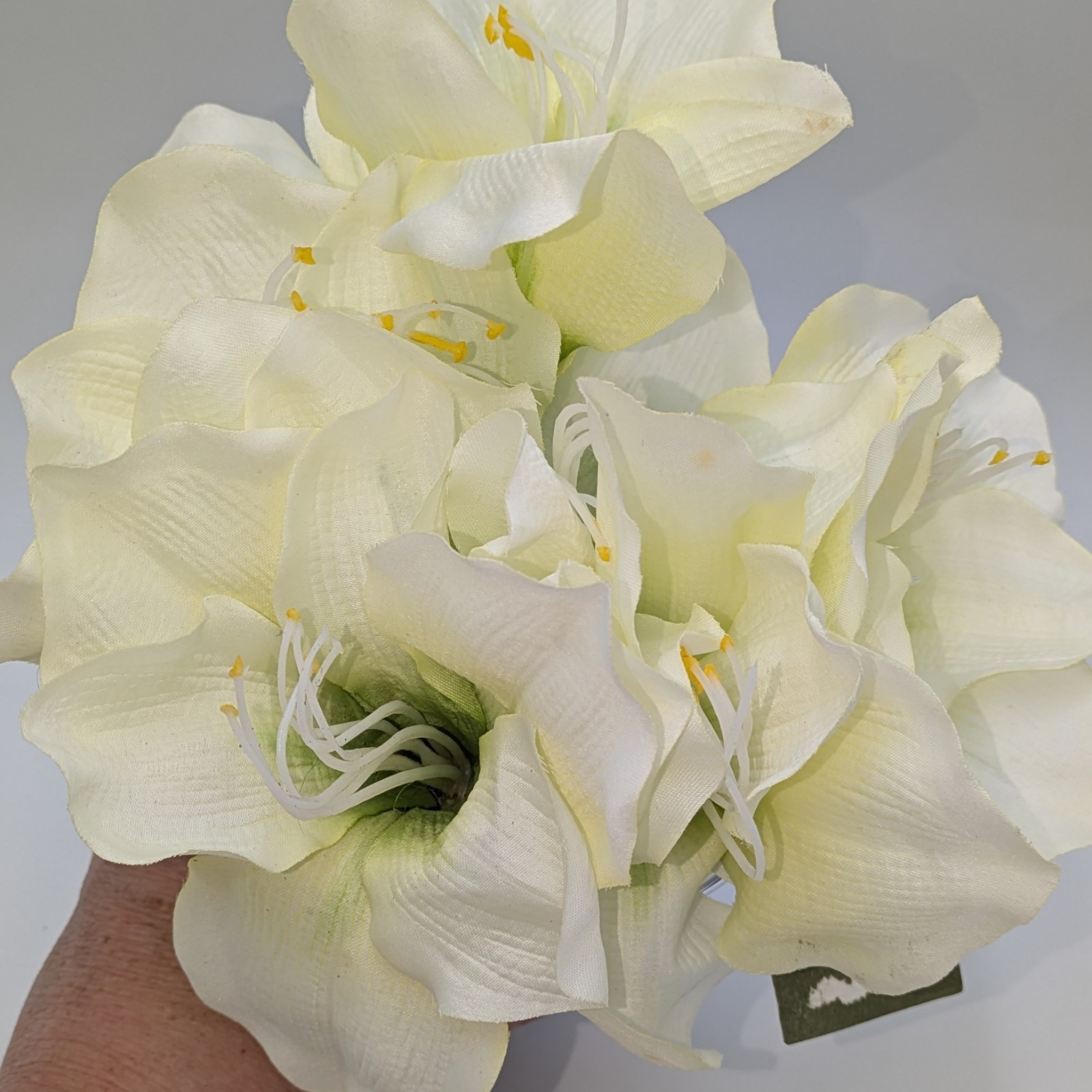 Creamy Amaryllis Bouquet In Silver Shine Vase, Home Goods, 8x8x8, Nwt