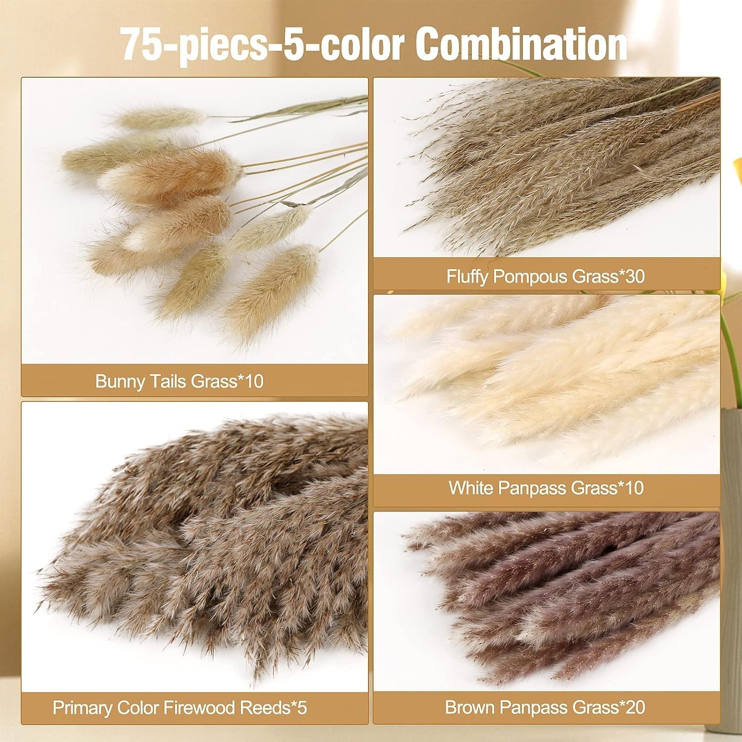 Stylish Dried Floral Collection – Pampas, Bunny Tails & Reeds for Timeless Decor