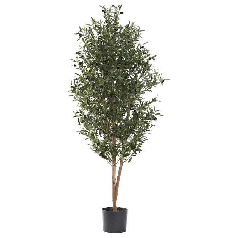 Artificial 58 in Olive Tree in Nursery Pot- 321302 (Pack of 4)