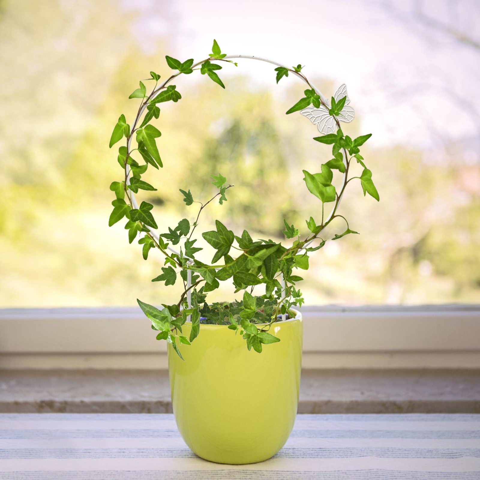 White Heart Plant Support 28x31cm