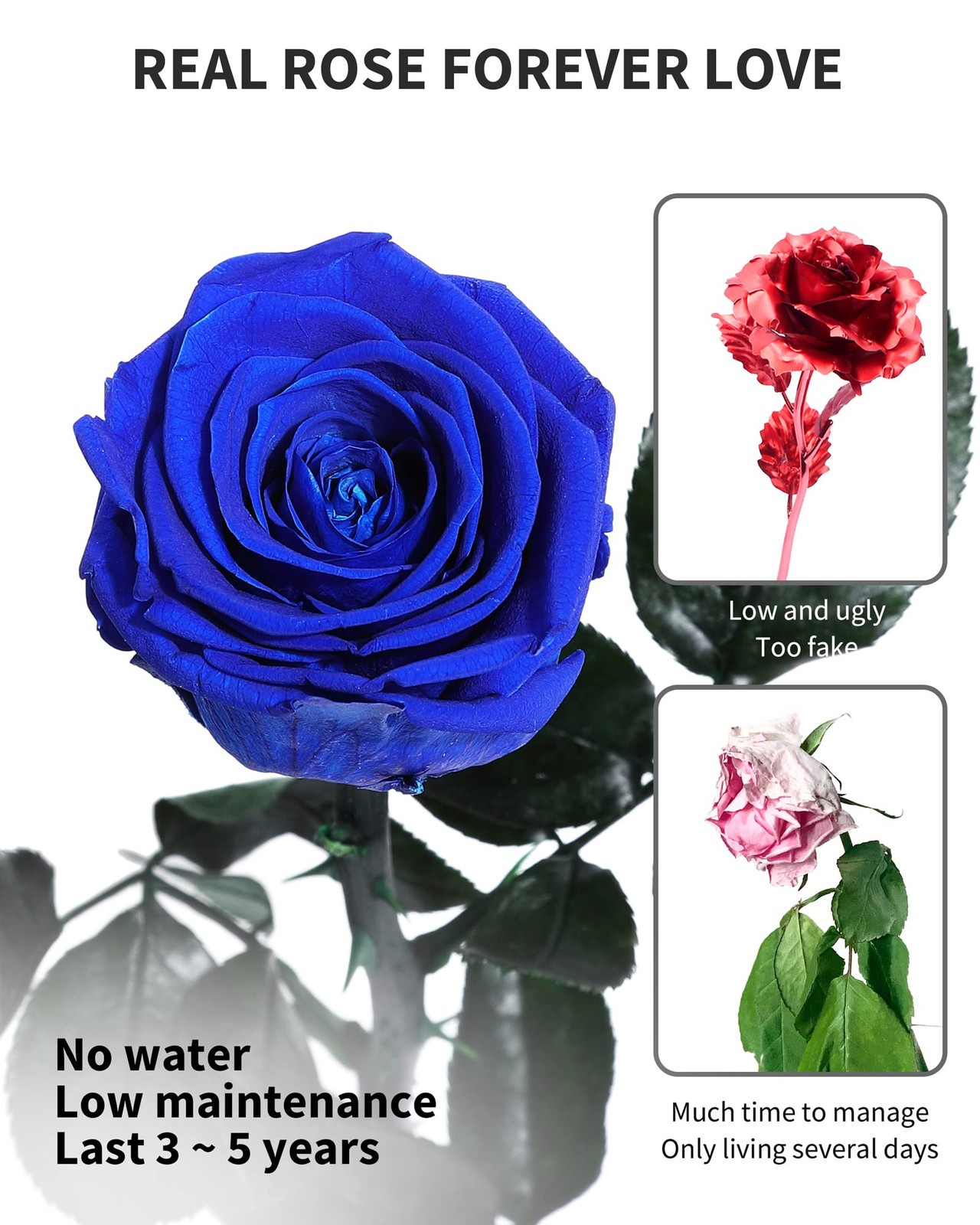 Blue Flowers for Delivery Prime, Preserved Blue Roses Flower Gifts for Women, Re