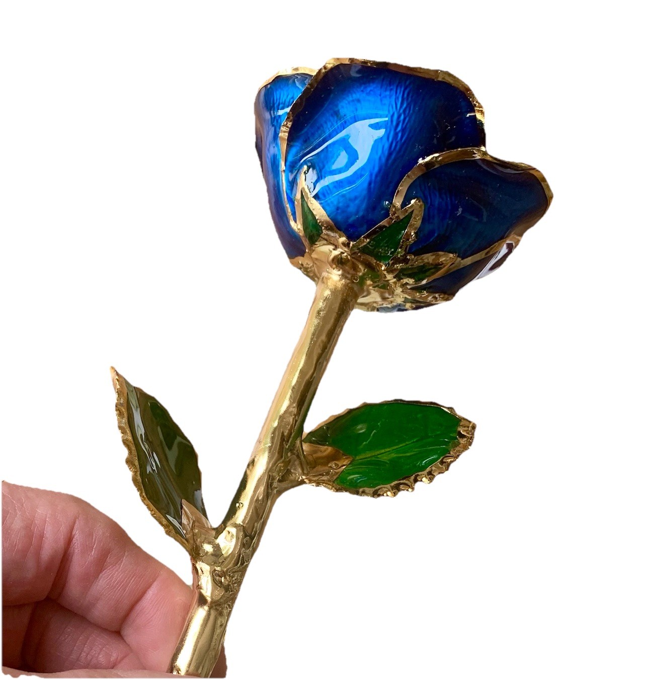 Living Gold Real Rose Dipped in 24K Gold w/ Certificate of Authenticity USA New