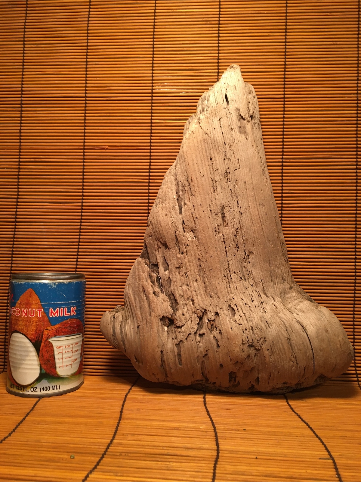 Beautiful 13” DRIFTWOOD Piece Terrarium Aquascape Floral Decor Crafts Art