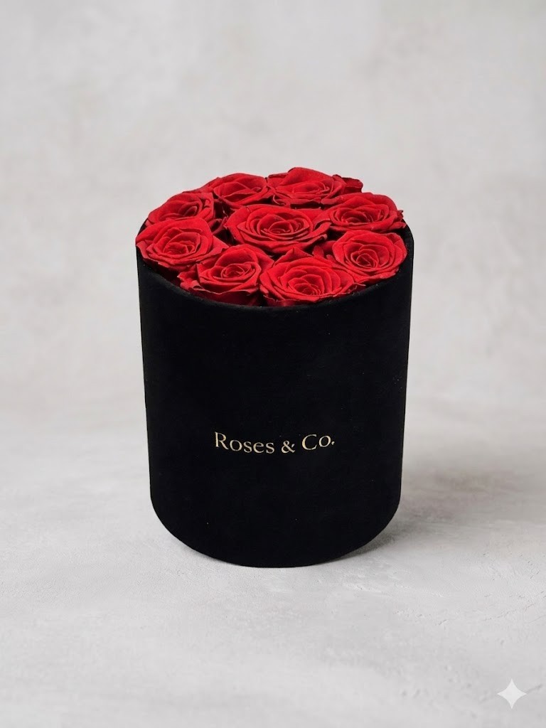 Premium Red Rose Box 9 Preserved Dutch Roses Velvet Luxury Gift for Her