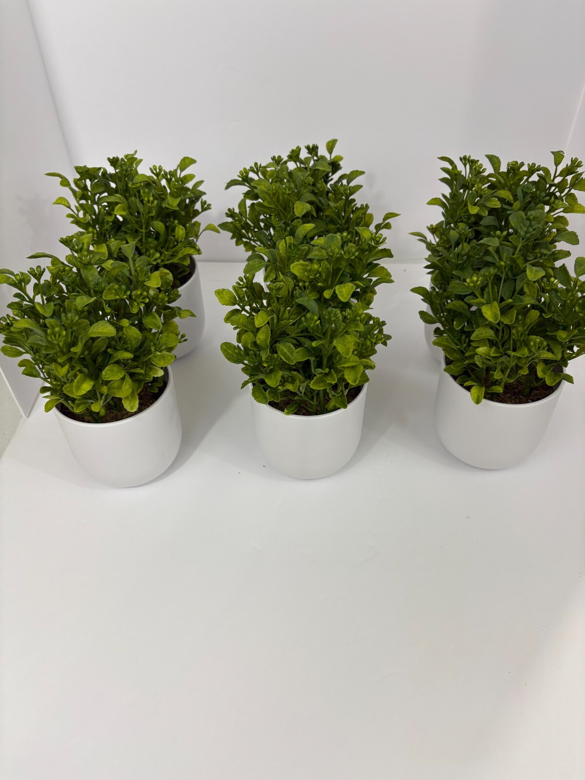 Box of 6 – Threshold Artificial Plants – 8″ Mini Boxwood Green / White Pot -NEW