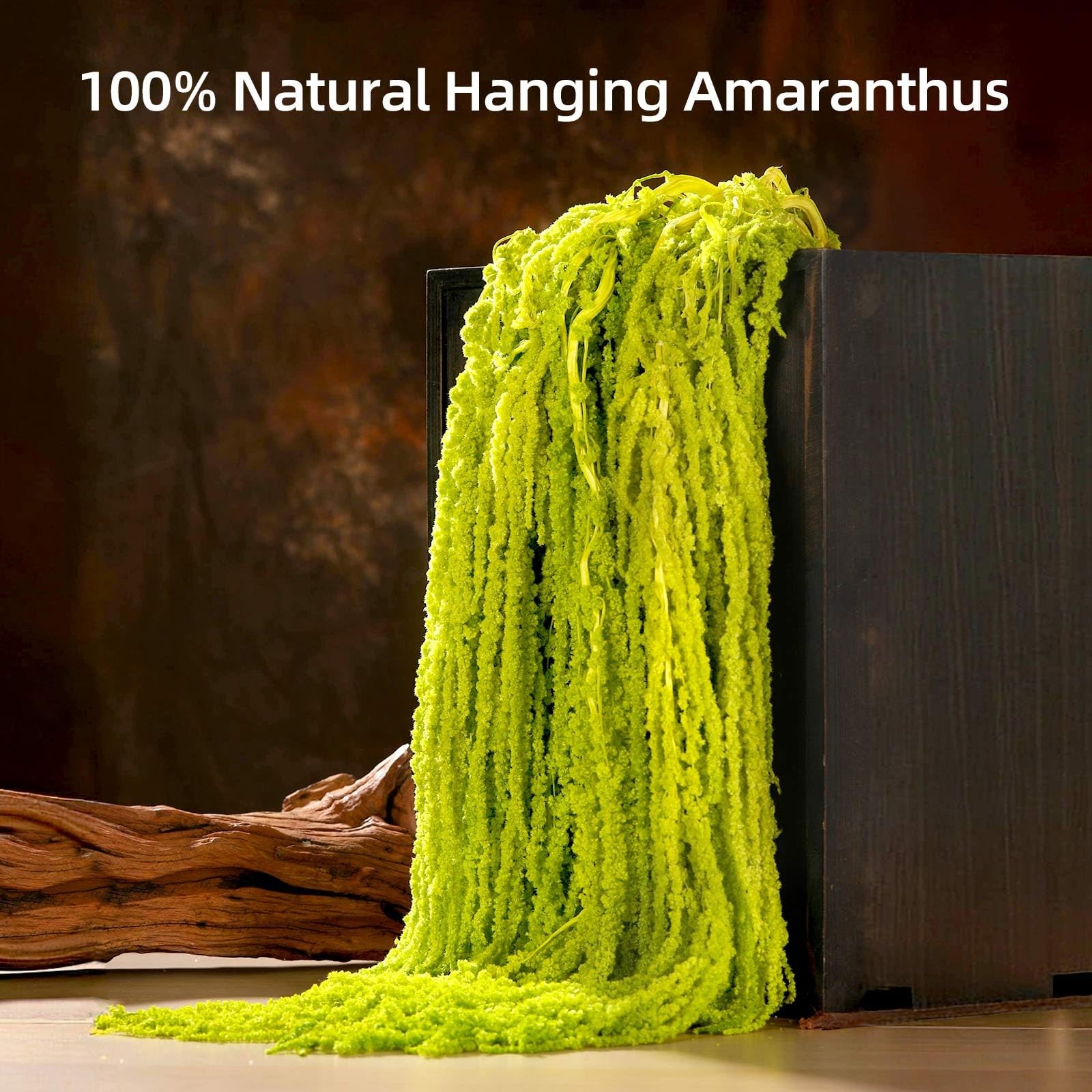 10 PCS 24 Inch Chartreuse Dried Amaranthus Hanging Flowers Natural Preserved