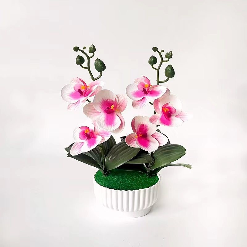 Phalaenopsis Orchid Simulation with Shell Shaped Pot for Home Office Use