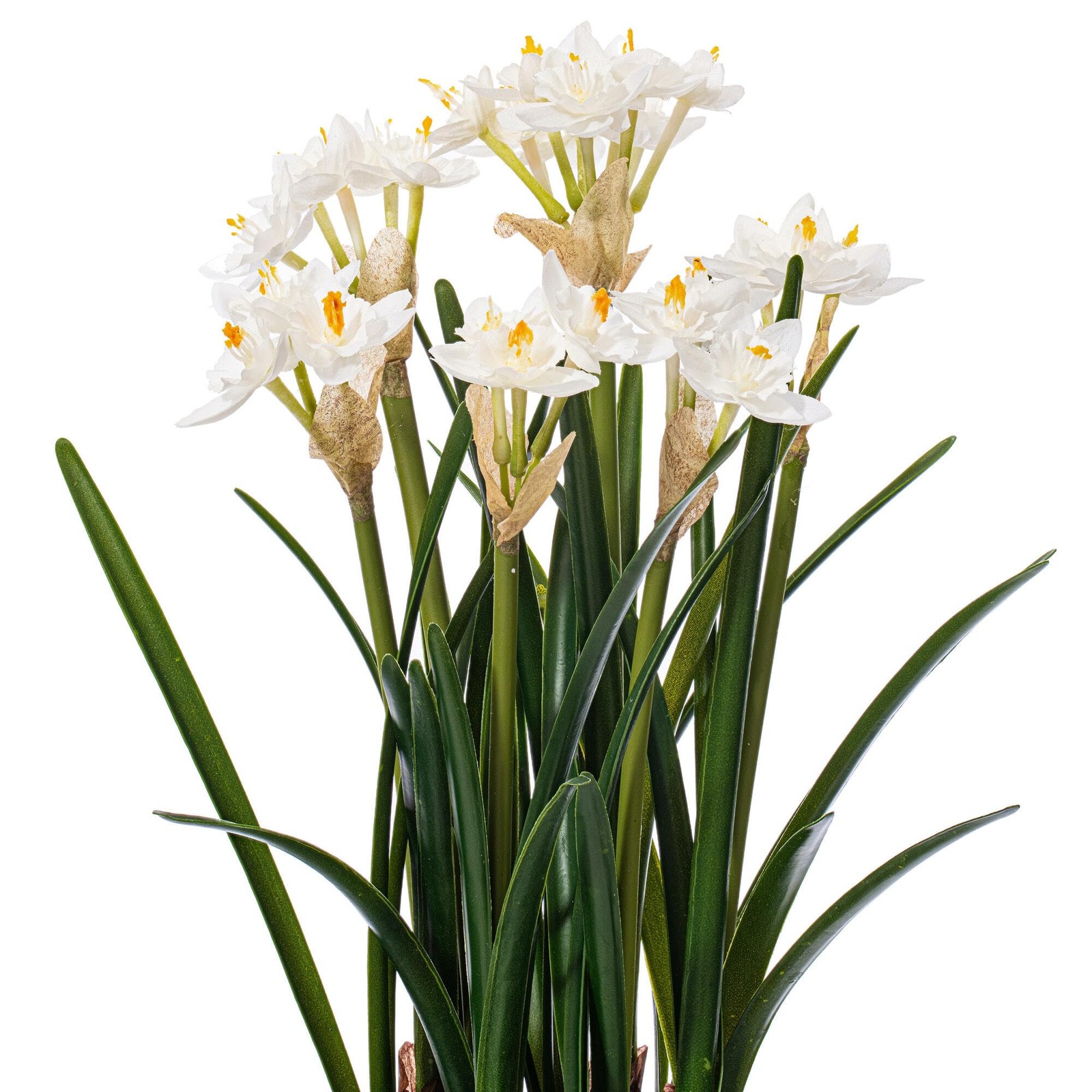 Vickerman 16.5″ Plastic Artificial Daffodil with Ceramic Pot in Green/White