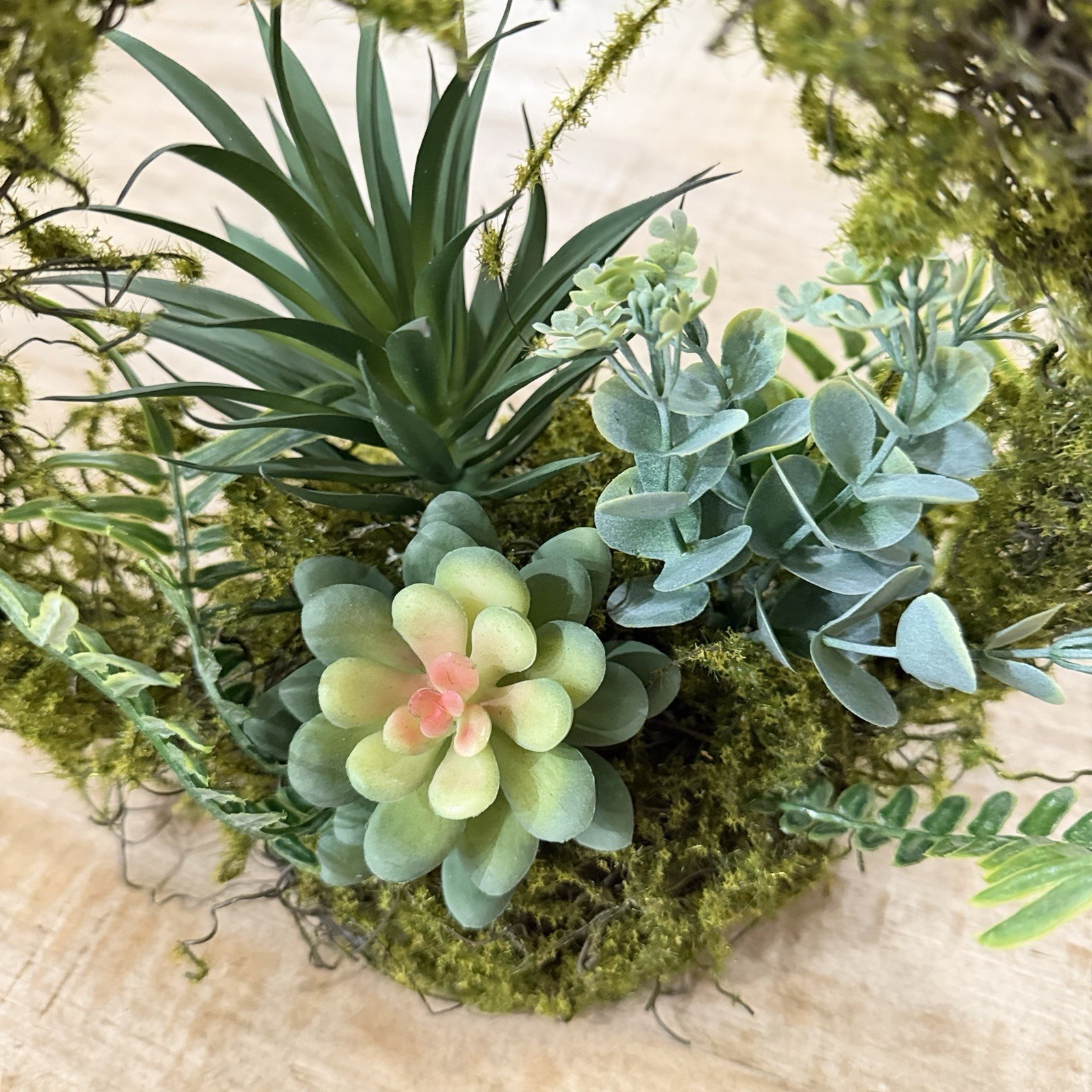 Artificial Succulent & Moss Hanging Wall Wreath Arrangement, Green Plastic 6×6″