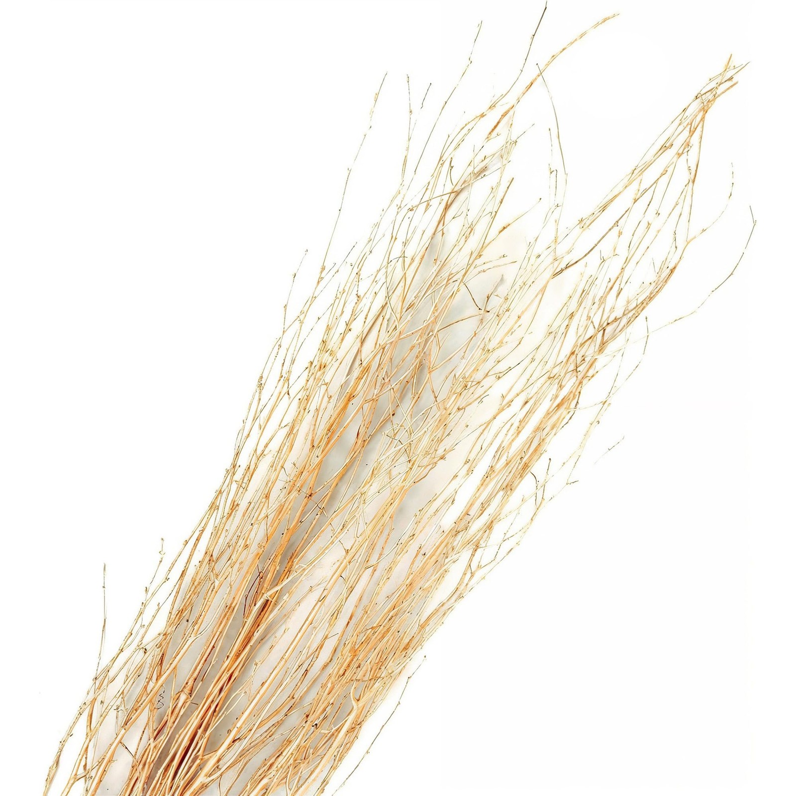 Gold 34 Ft Natural Birch Tree Branch Tall Decorative Stick Vase Decor 10 PCS