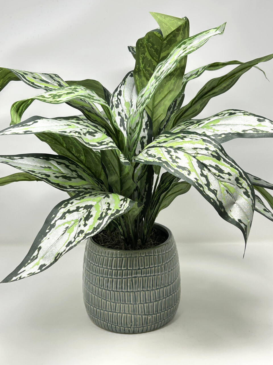 18″ Large SILVER QUEEN AGLAONEMA artificial silk Sword plant, 5″ Cream-green Cer