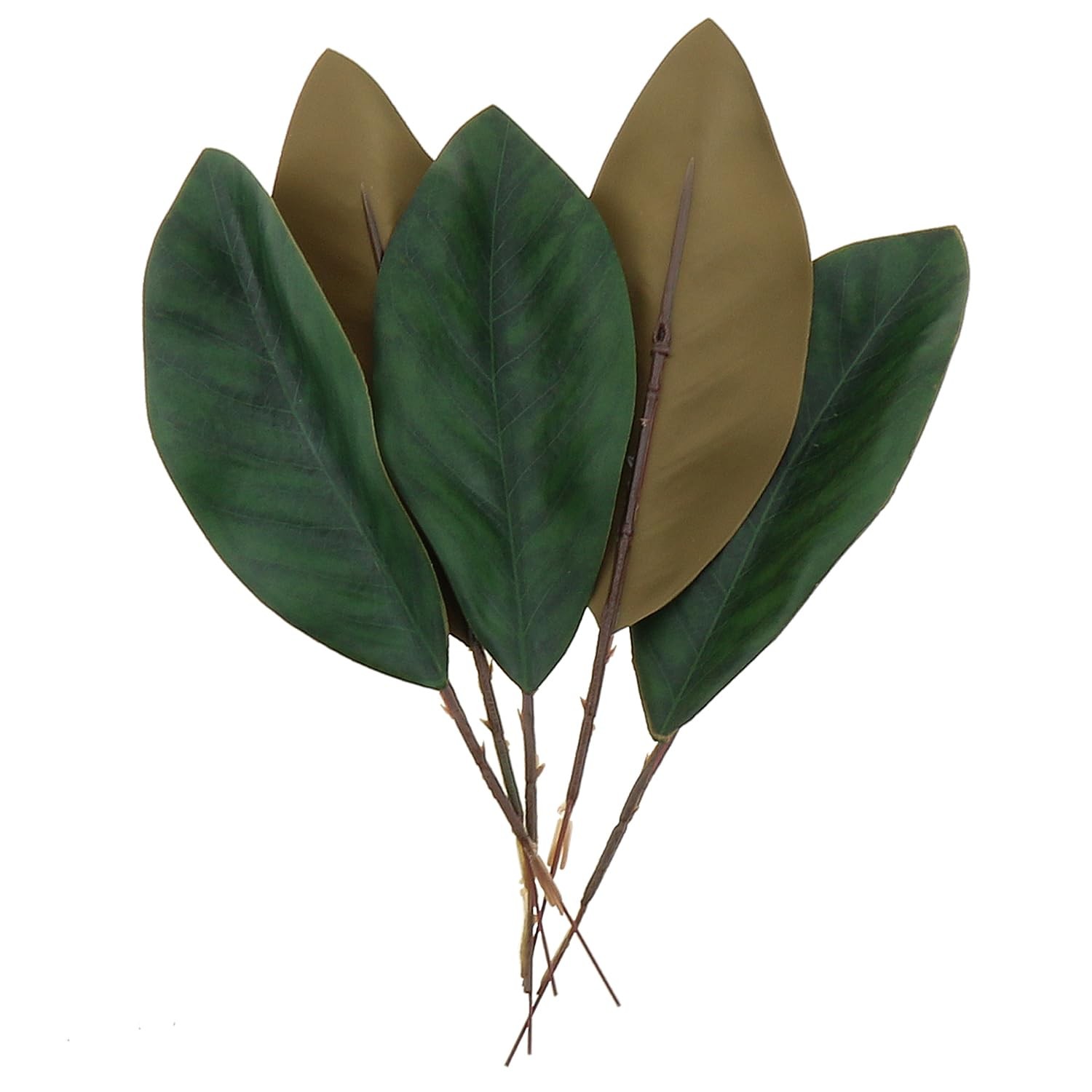 12PCS 19.5x6cm Artificial Small Size Simulation Magnolia Leaf Green Artificia…
