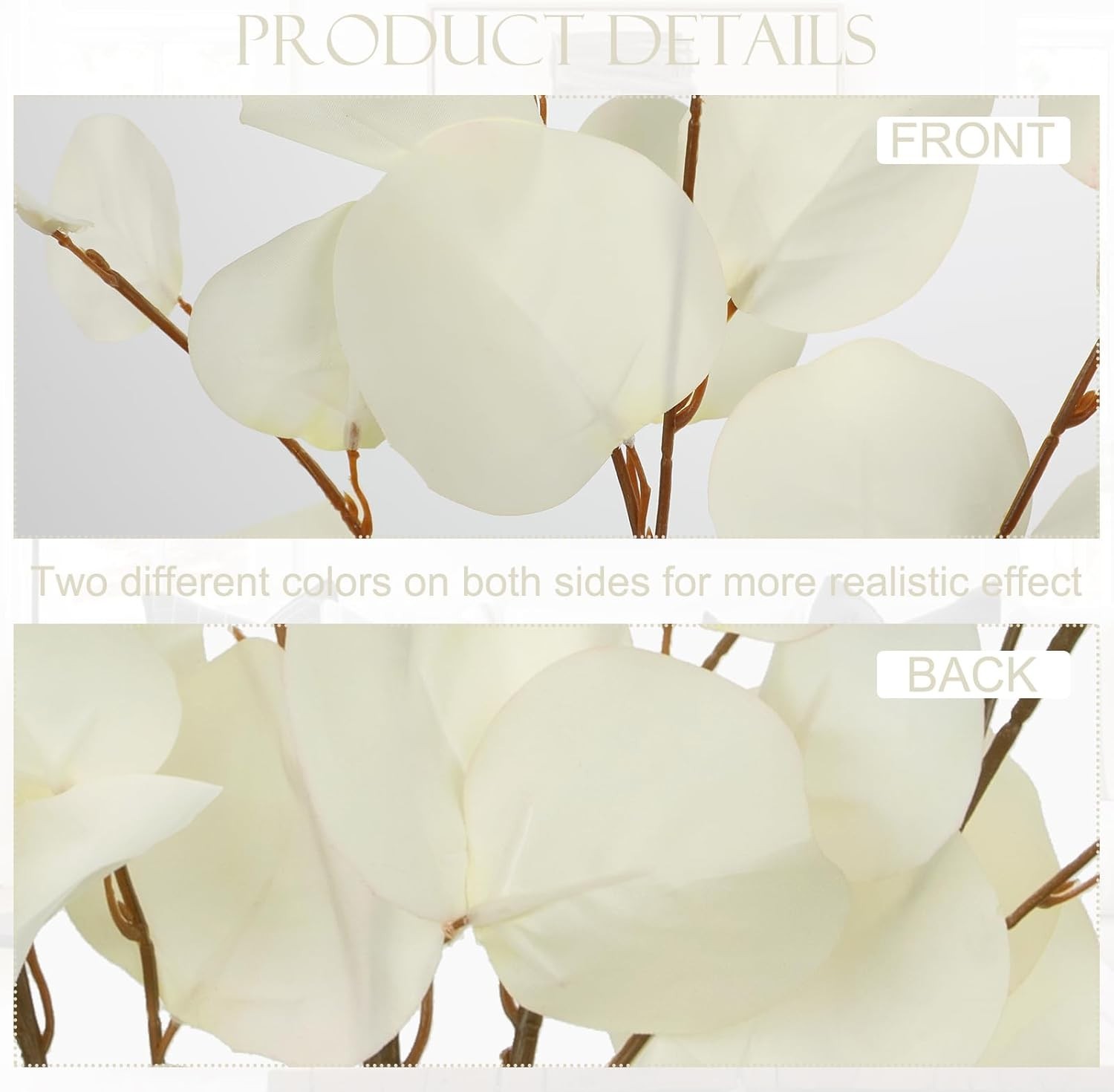 Cream White Eucalyptus Stems Fake Eucalyptu Leaves 34” Long Silver Dollar Lea…