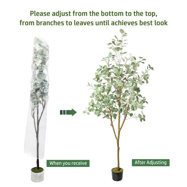 HOMLUX 71in. Eucalyptus Artificial Tree w/ Vivid Trunks in Woven Seagrass Basket