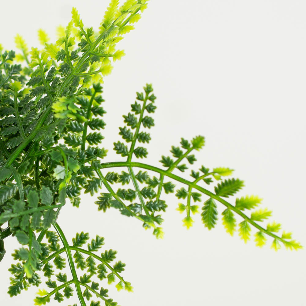 Set of 12 Artificial Vinyl Weatherproof Forest Fern 7-1/2″ Picks