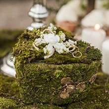 7OZ Natural Moss Artificial Fake Moss Alternative for Plants Indoor | Premium