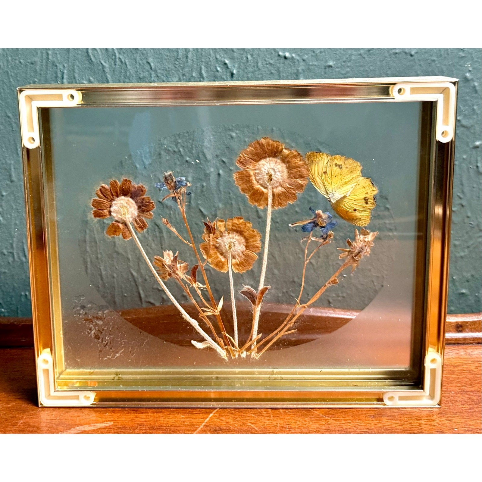 Butterfly Botanical Glass Frame 1980s Vintage Wall Decor