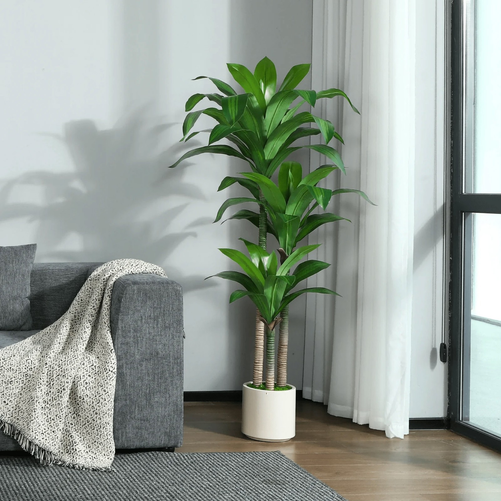 6FT Artificial Dracaena Tree with White Planter Indoor Floor Plant