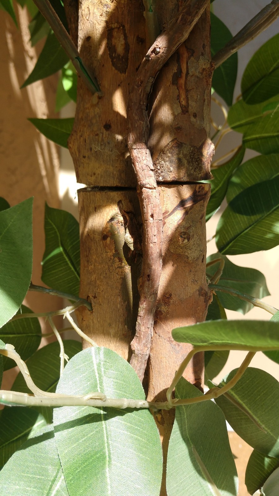 Pre-owned 6′ Artificial Ficus Tree, 2-Piece, Simple Piecing/Separation- Good