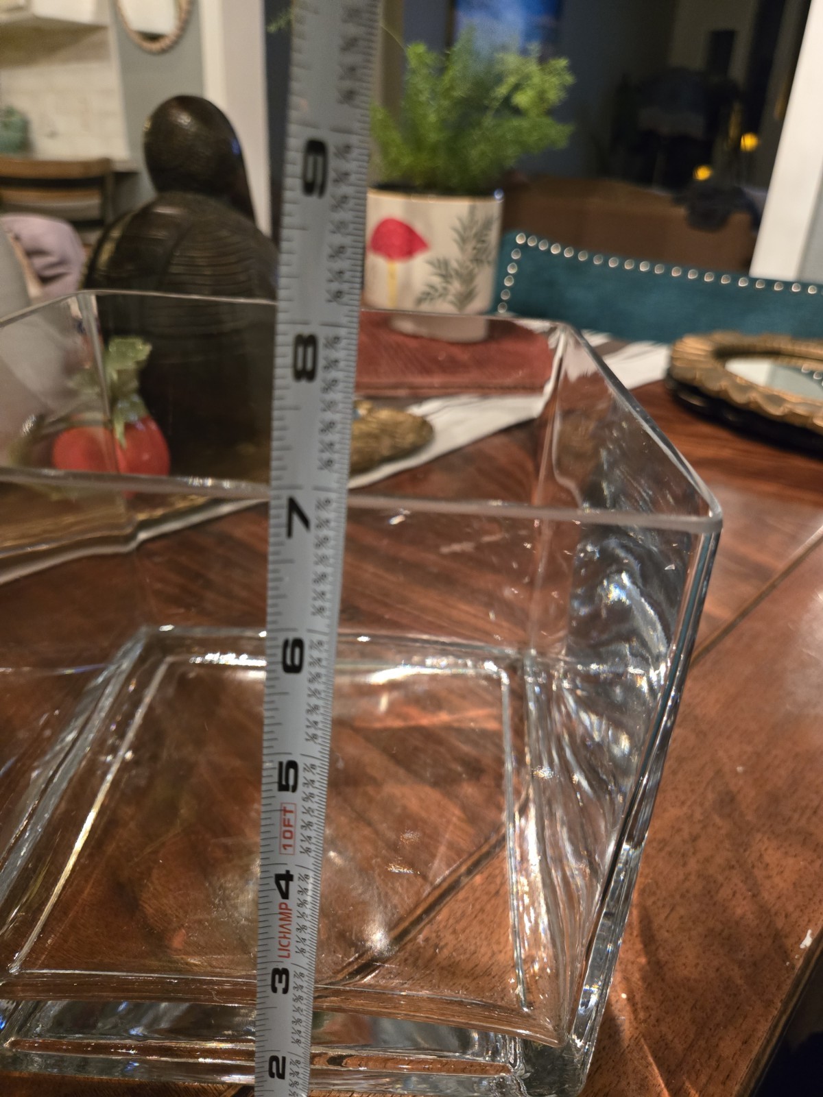 glass terrarium for plants