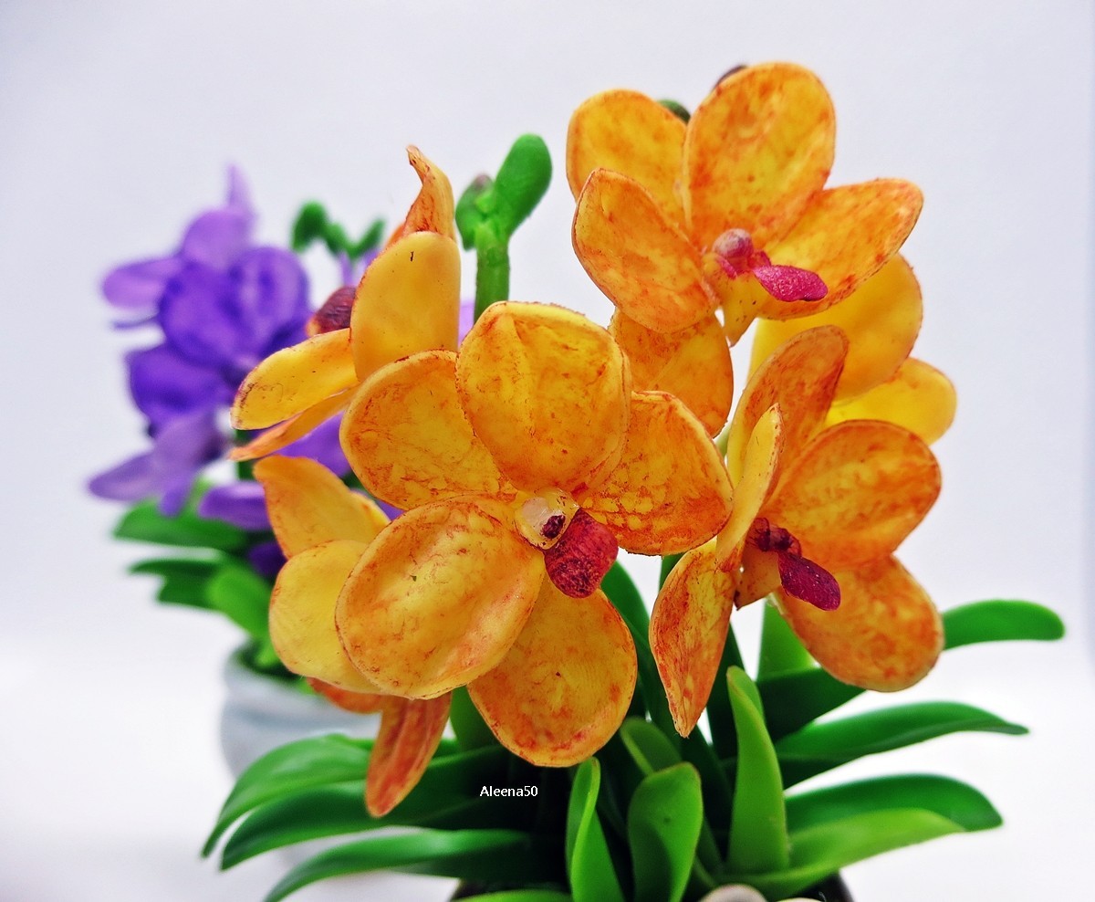 US Stock 3.5″H Variation Hand-Clay-Crafted Miniature Vanda Orchid in Ceramic Pot