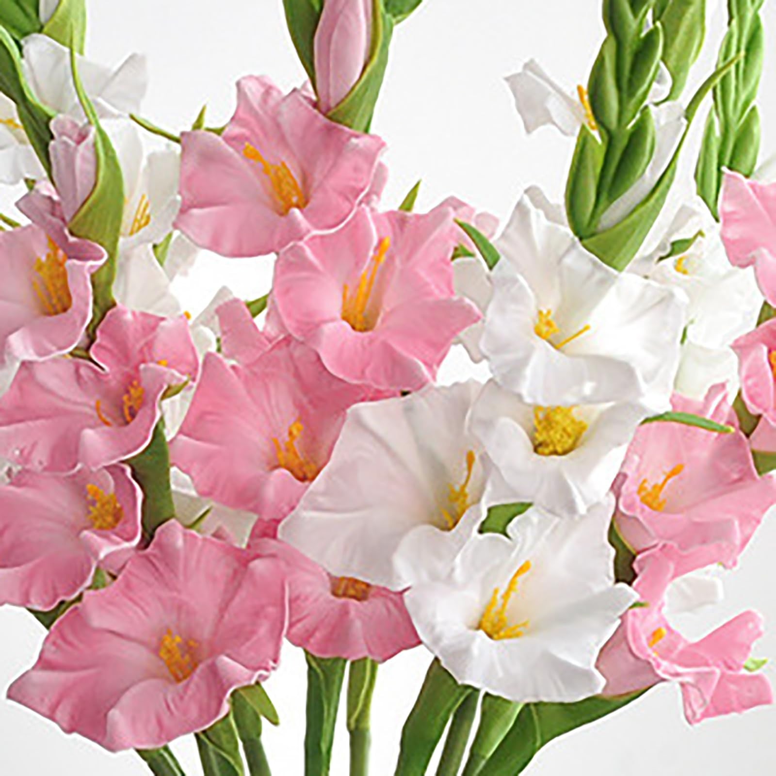 6Pcs Artificial Gladiolus Flowers White and Pink Fake Gladiolus Flowers Silk …
