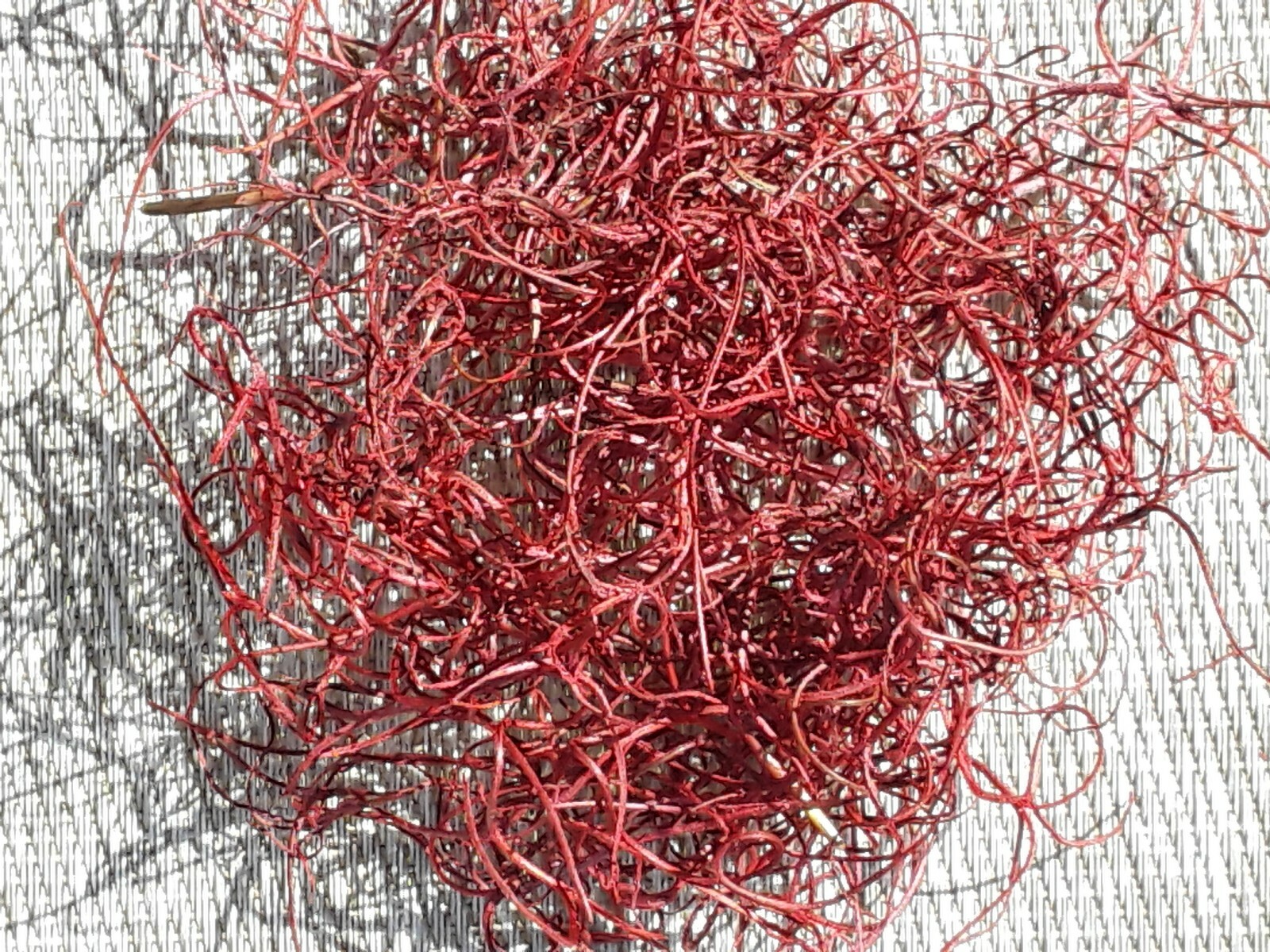 Fresh Florida Dried RED Spanish Moss: 1 Gallon size, Air Plant, Florist, Craft