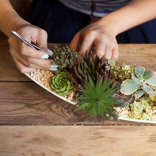 Artificial Succulents Plants 2PCS, Faux Succulents Unpotted Yucca Fake