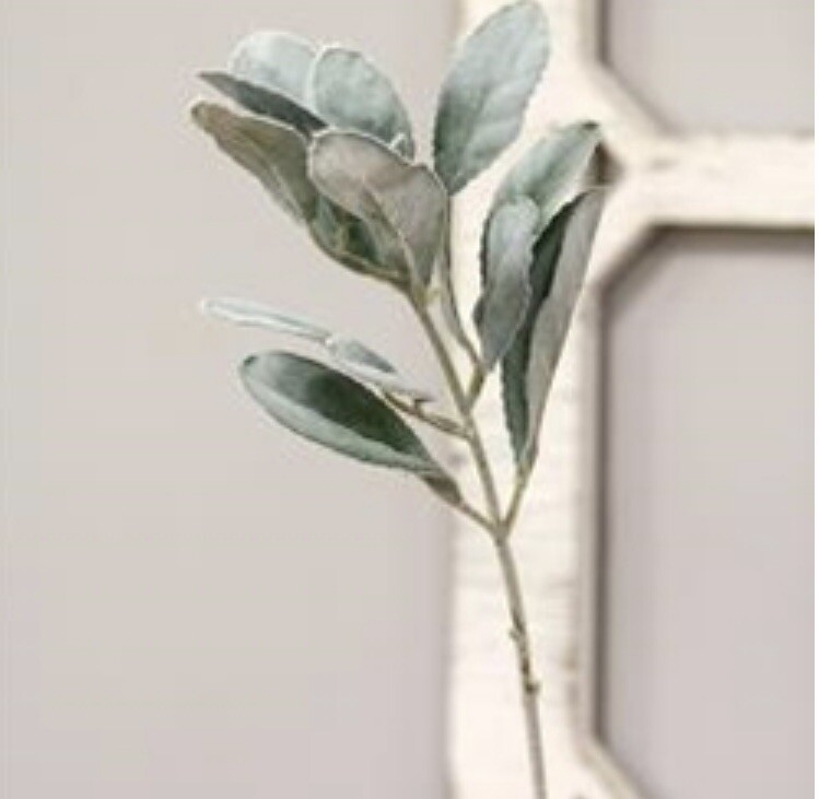 Frosted Lamb’s Ear Pick, 15” Bundle Of 3 Floral Arrangements Greenery New