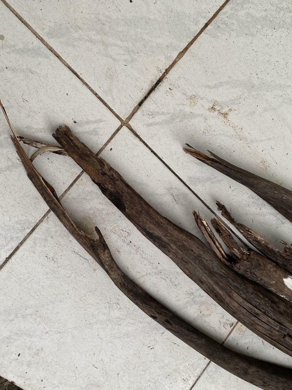 Coconut Tree Dried Spathe Diy Home Deco’s 100 Pure Organic Craft Item