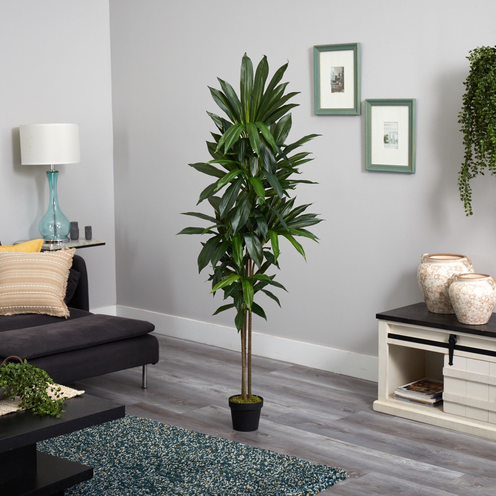 6 Ft Dracaena Artificial Silk Plant Real Touch Home Decor. Retail $133
