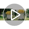 Lodou Artificial Cemetery Flowers for Grave,Headstone Flower Saddle Silk Sunflow