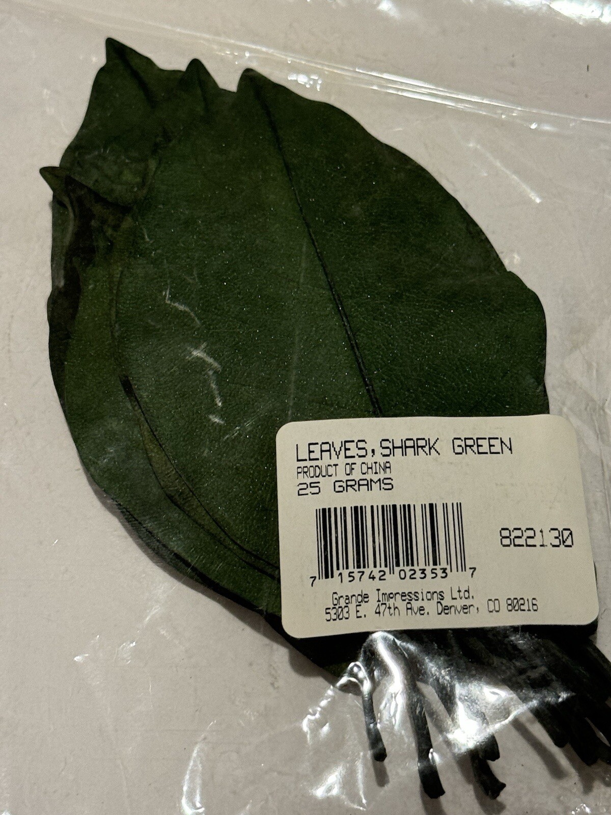 Grand Impressions Dried Florals Leaves Leaf Shark Green 822130 Wedding Craft NEW