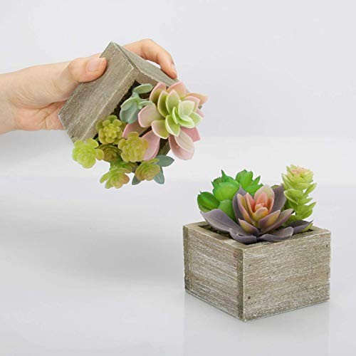 Artificial Succulents in Pots, Artificial Plants for Home Decor Organic
