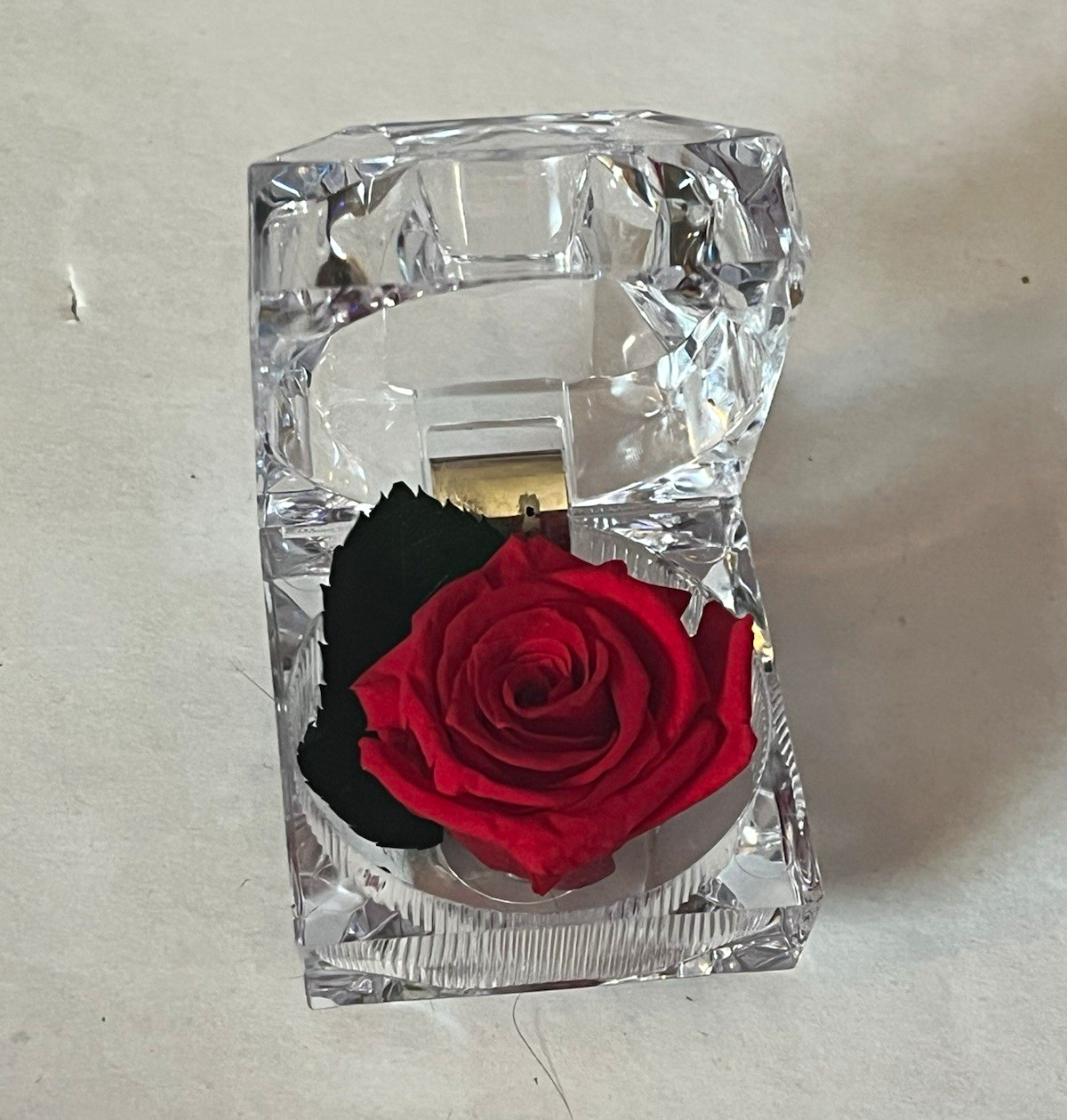 Preserved Red Rose in Clear Acrylic Display Block, Red/Clear