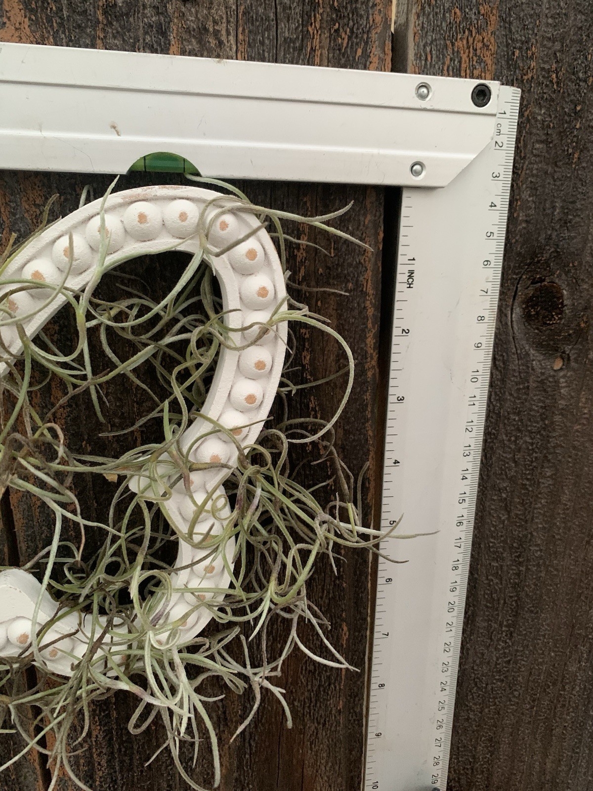 Butterfly Wall Hanging Wreath Spanish Moss Wood & Moss White/Green 10 in