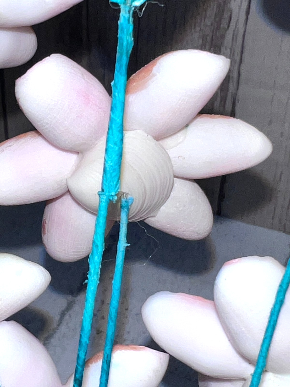 Handcrafted Seashell Floral Arrangement 1960-1970 Philippines